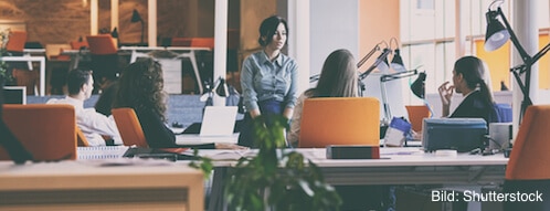 Pflanzen dürfen im Büro nicht fehlen