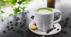 Matcha vs. Kaffee Welches Wachmacher-Getränk ist das Richtige für Sie