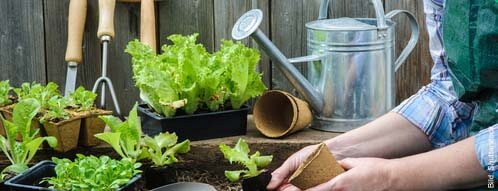 Gartenpflege mit dem richtigen Gartenbedarf ganz einfach