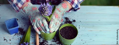 Das Schönste ist es, im eigenen Garten zu pflanzen