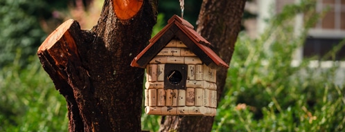 vogelhaus gutscheine - vogelhaus online kaufen geht auch