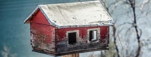 vogelhaus gutscheine - vogelhaus online kaufen uns sparen